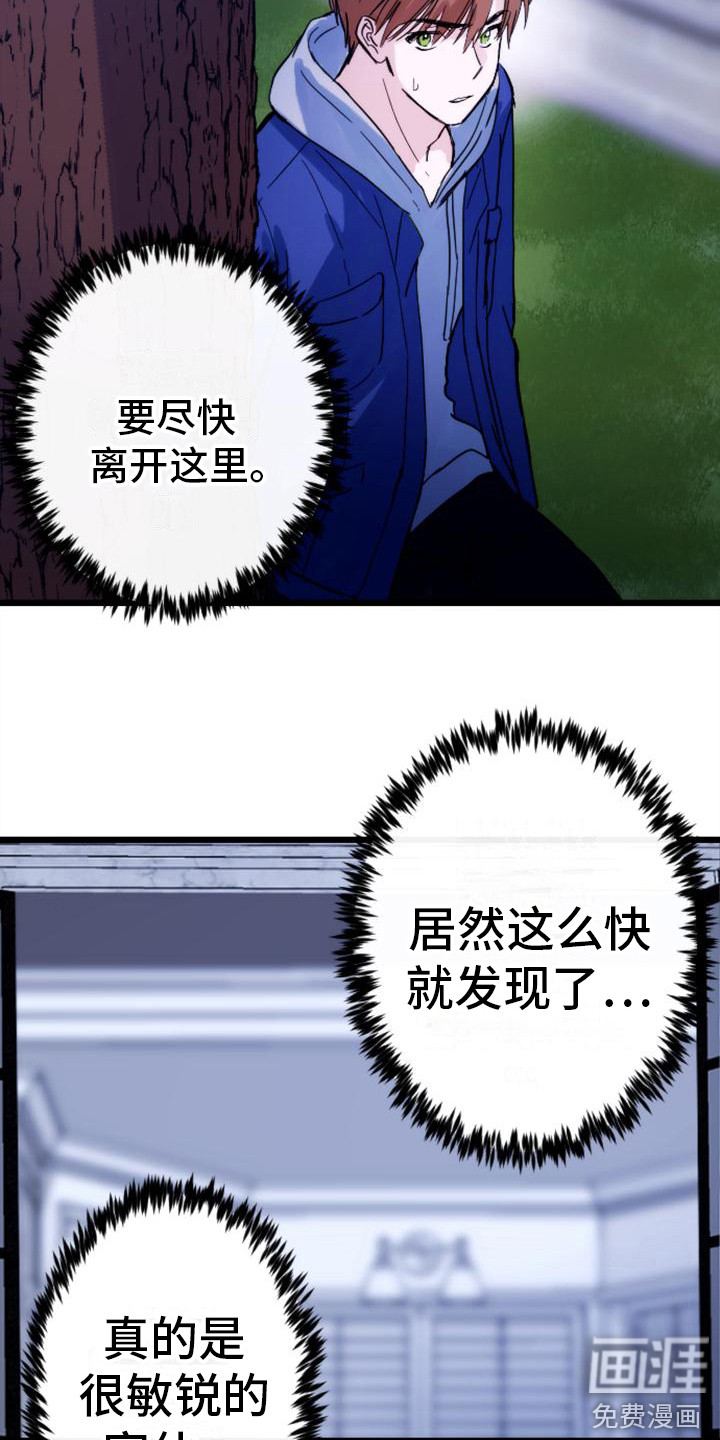 第29话 第19页