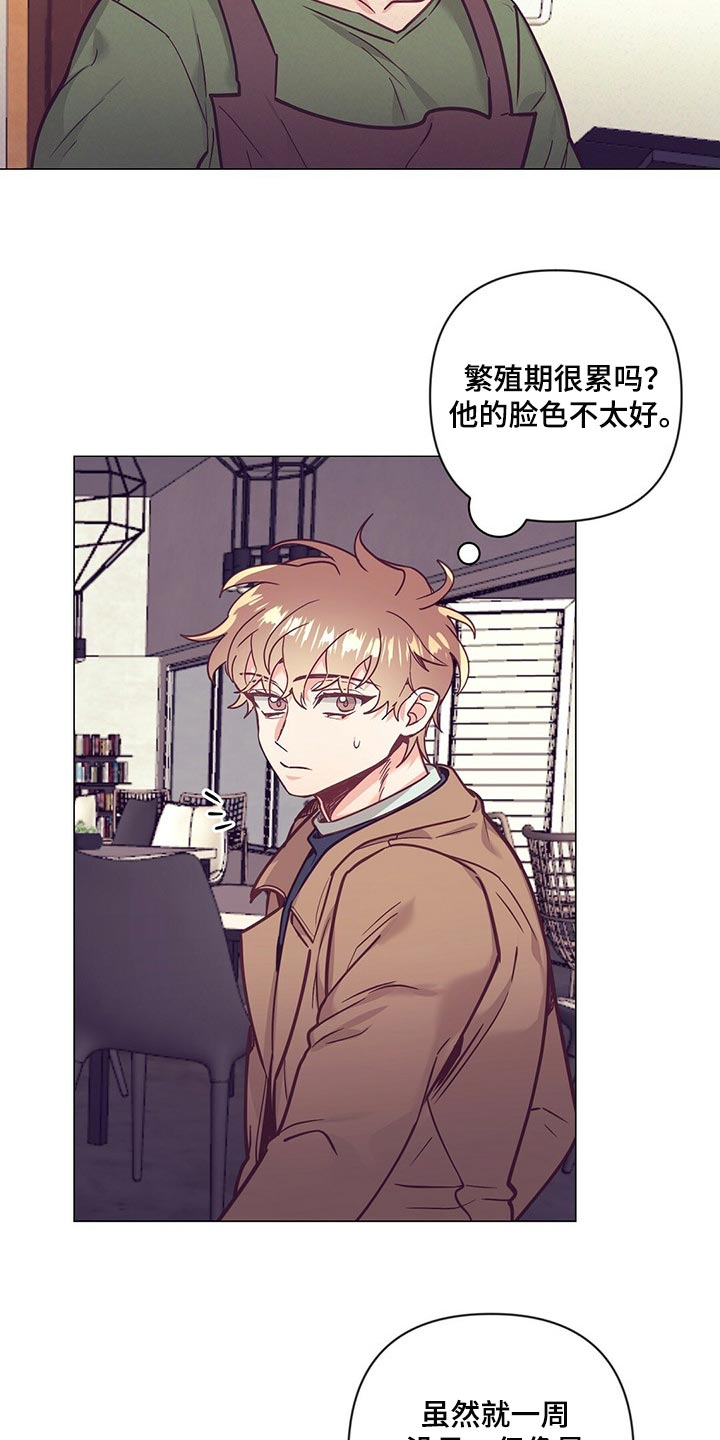第50话 第11页