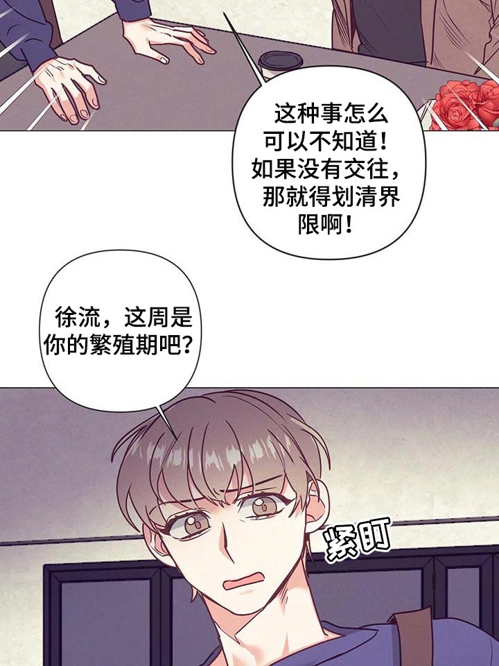 第36话 第11页