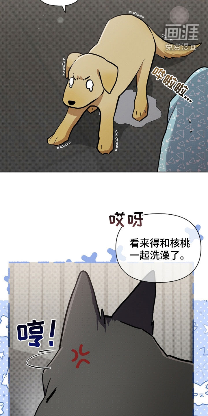 第97话6