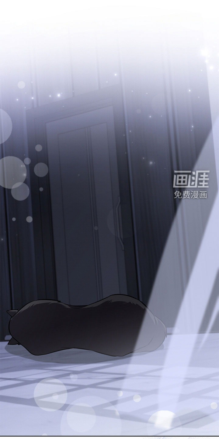 第97话19