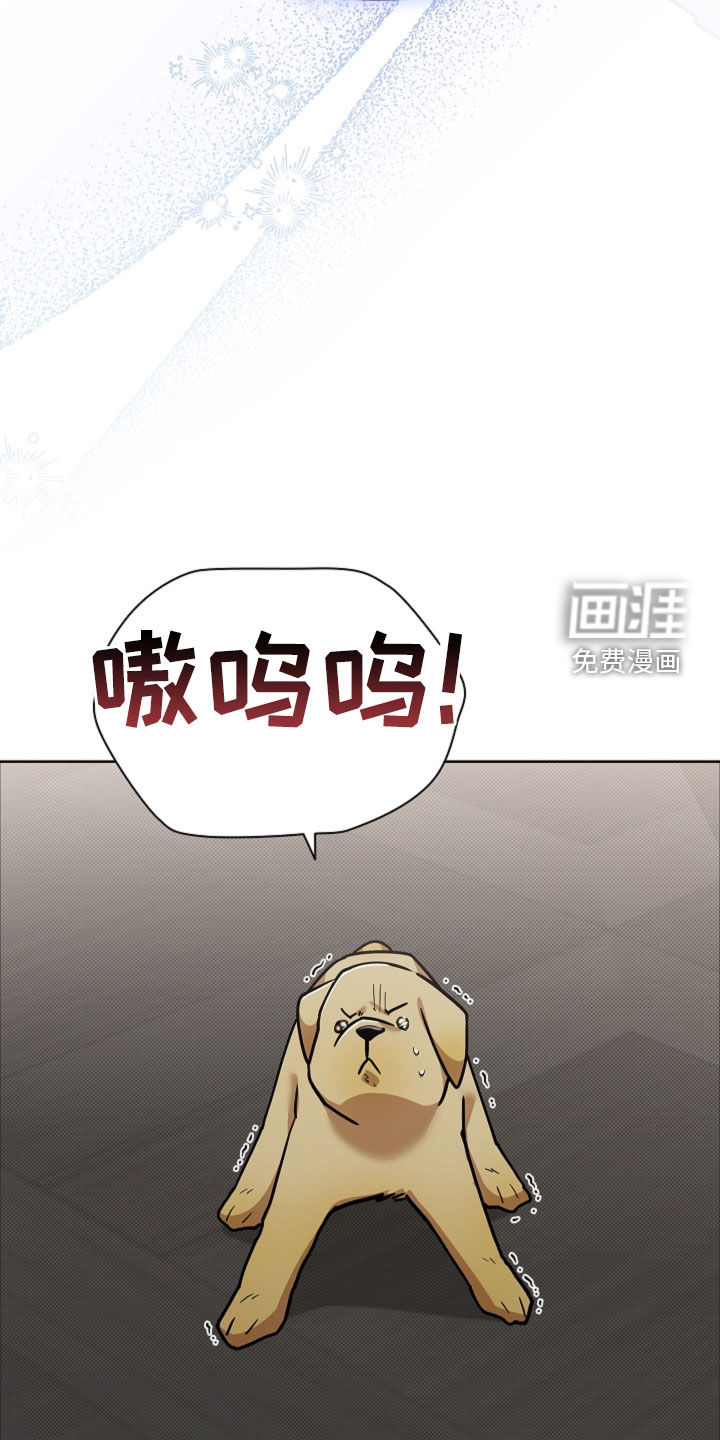 第96话11