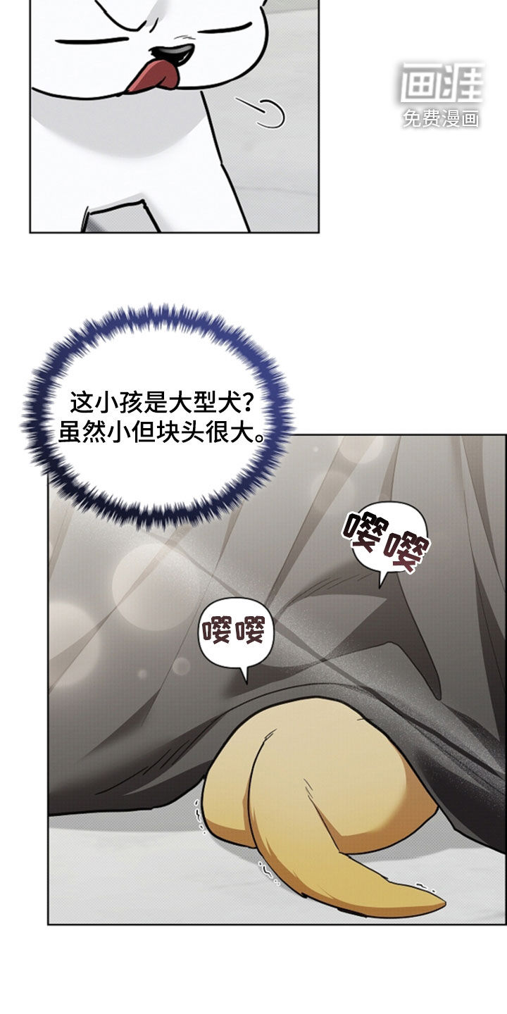 第91话6