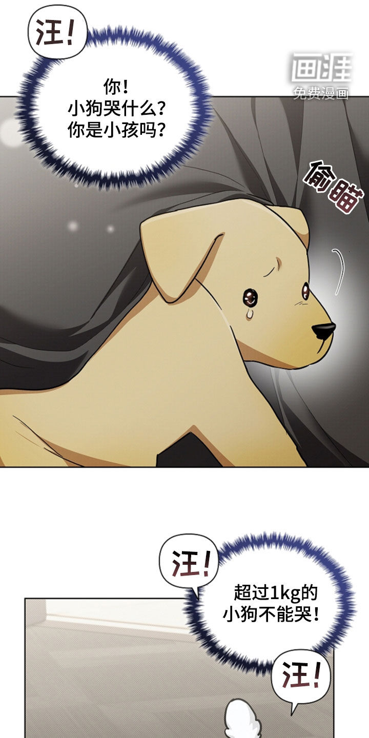 第91话7