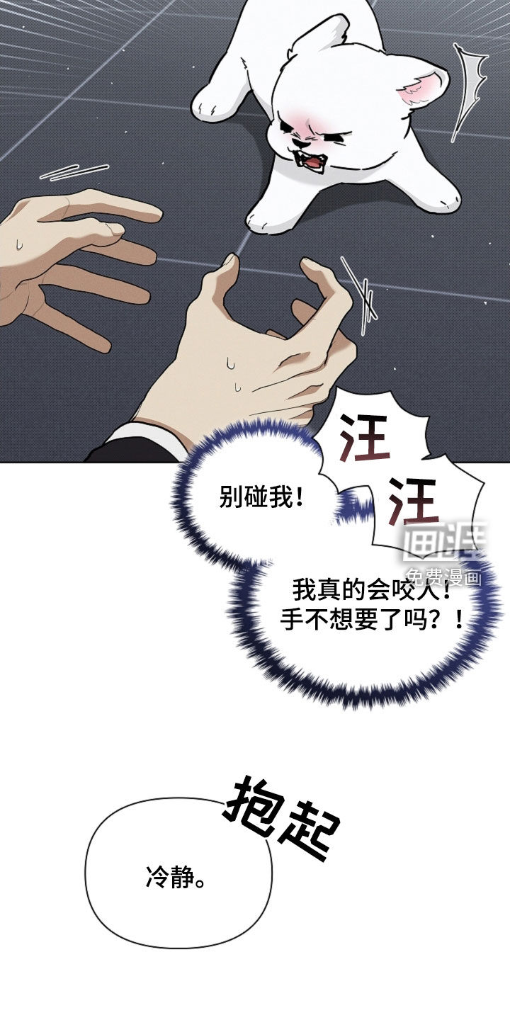 第84话8