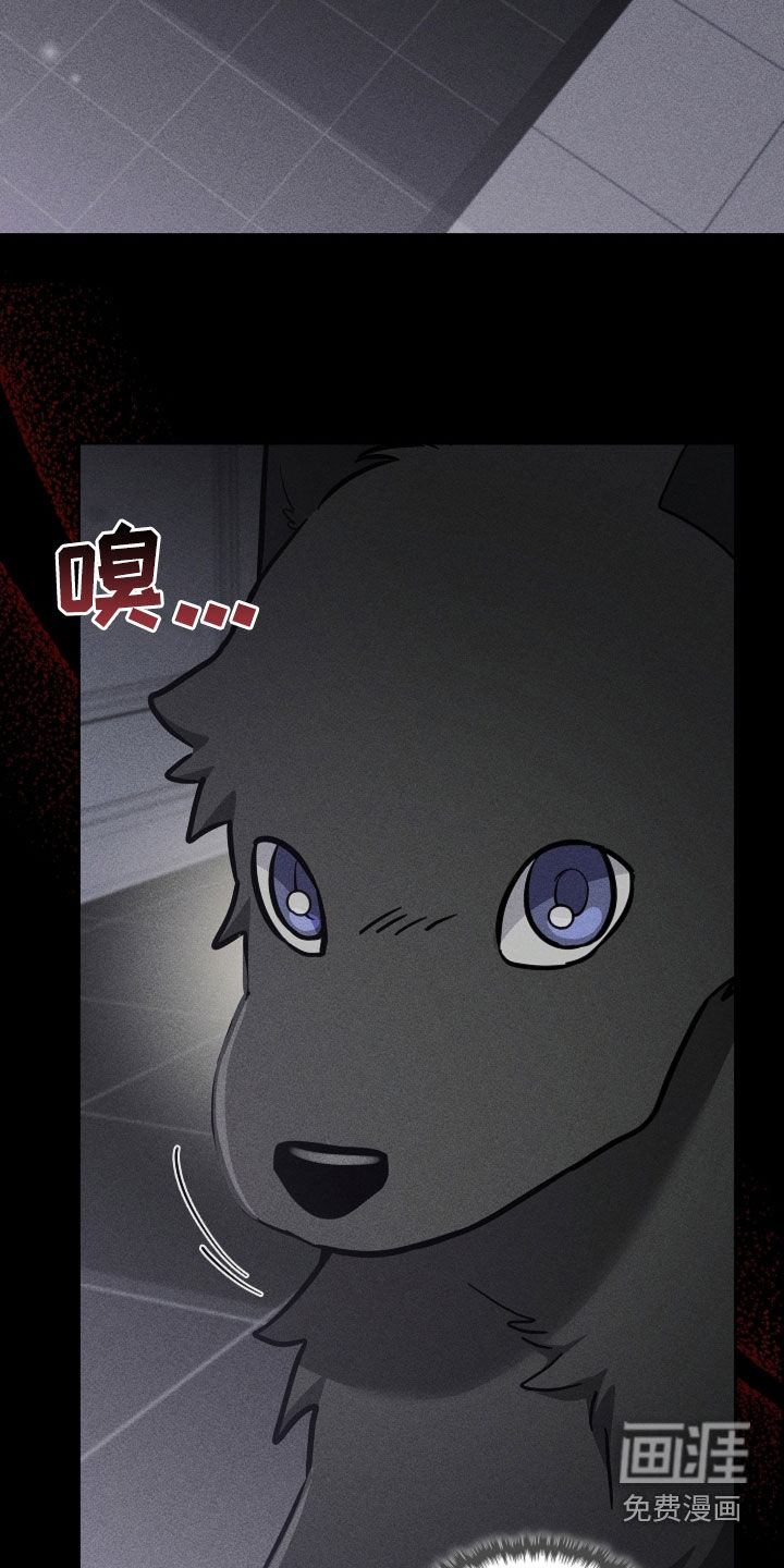 第81话14