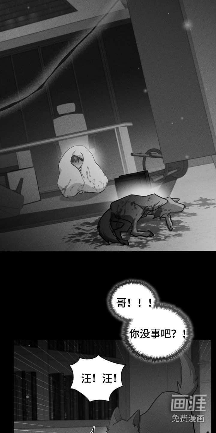 第81话17