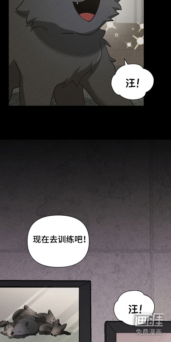 第81话11