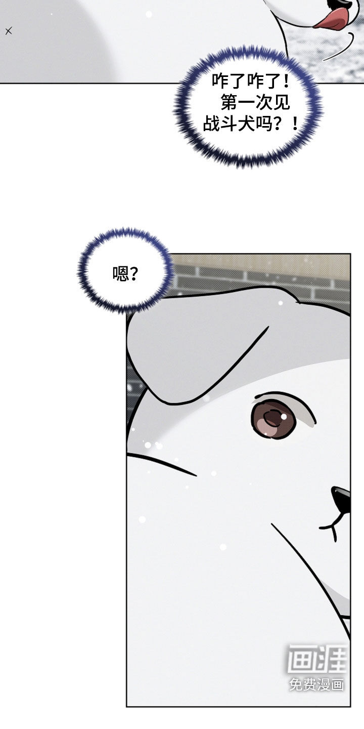 第75话13
