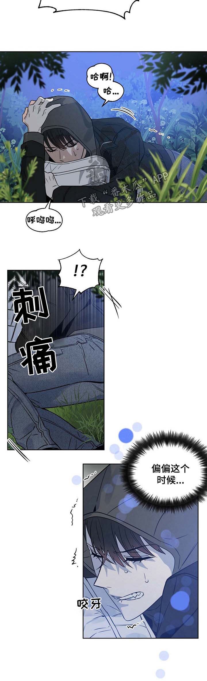 第62话 第5页