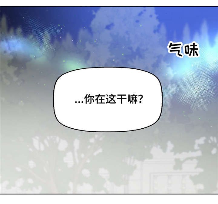 第17话 第12页