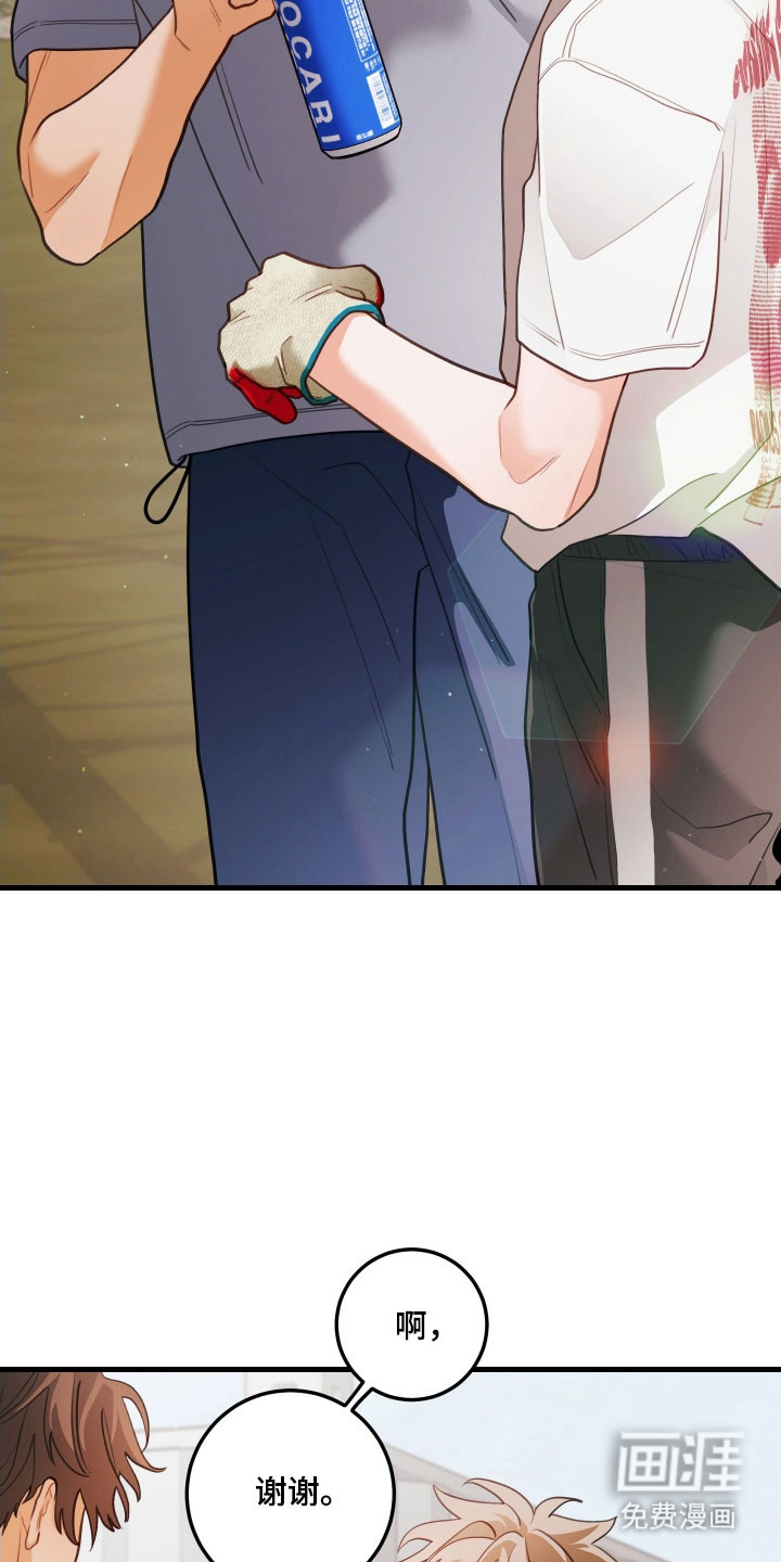 第146话16