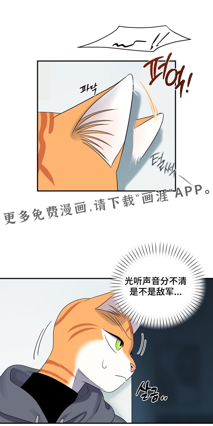 第196话17