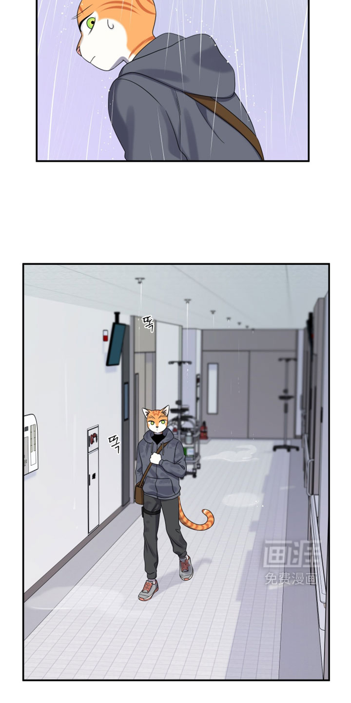 第196话11