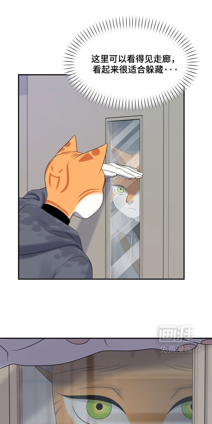 第196话12