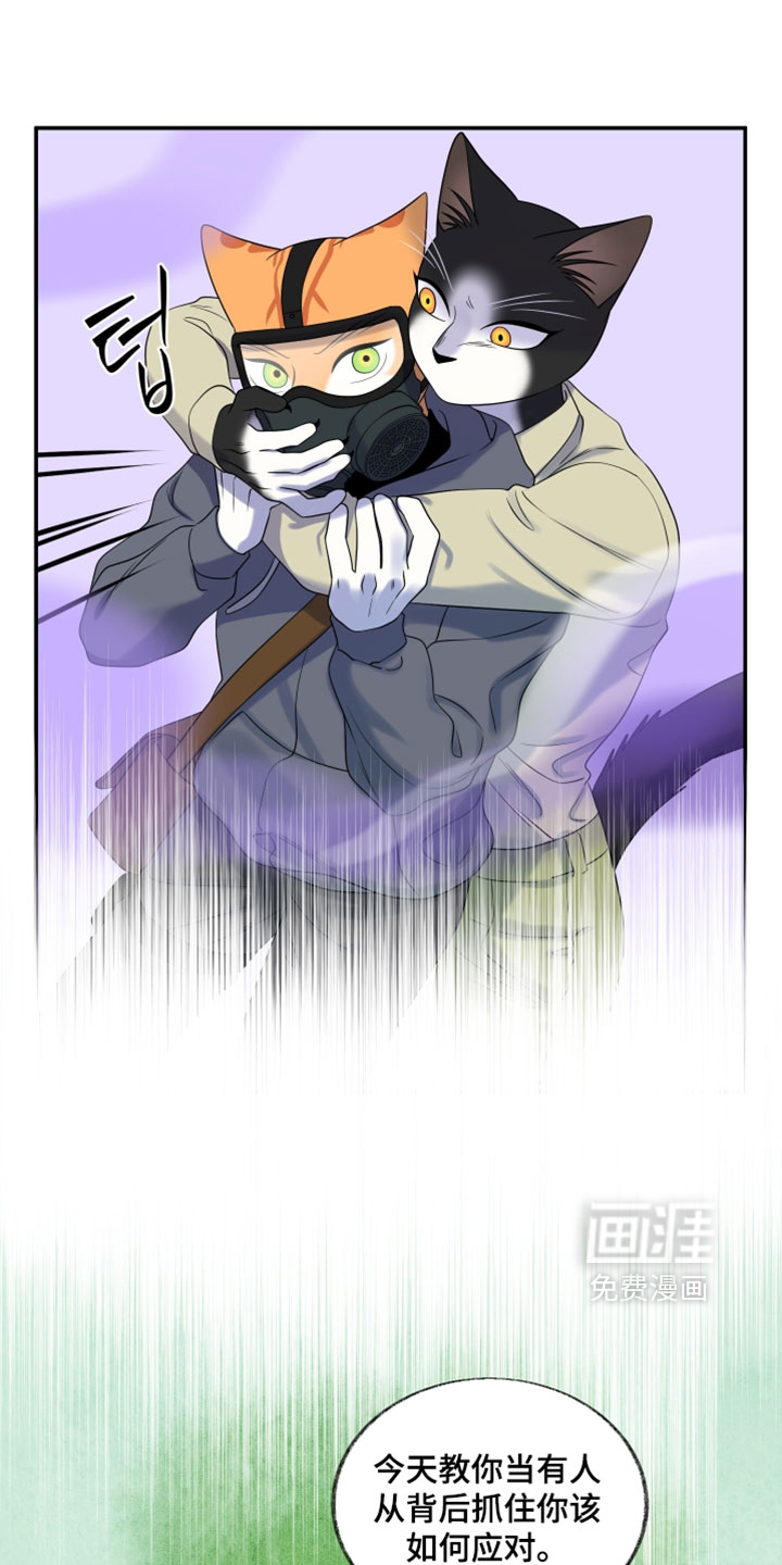 第195话0