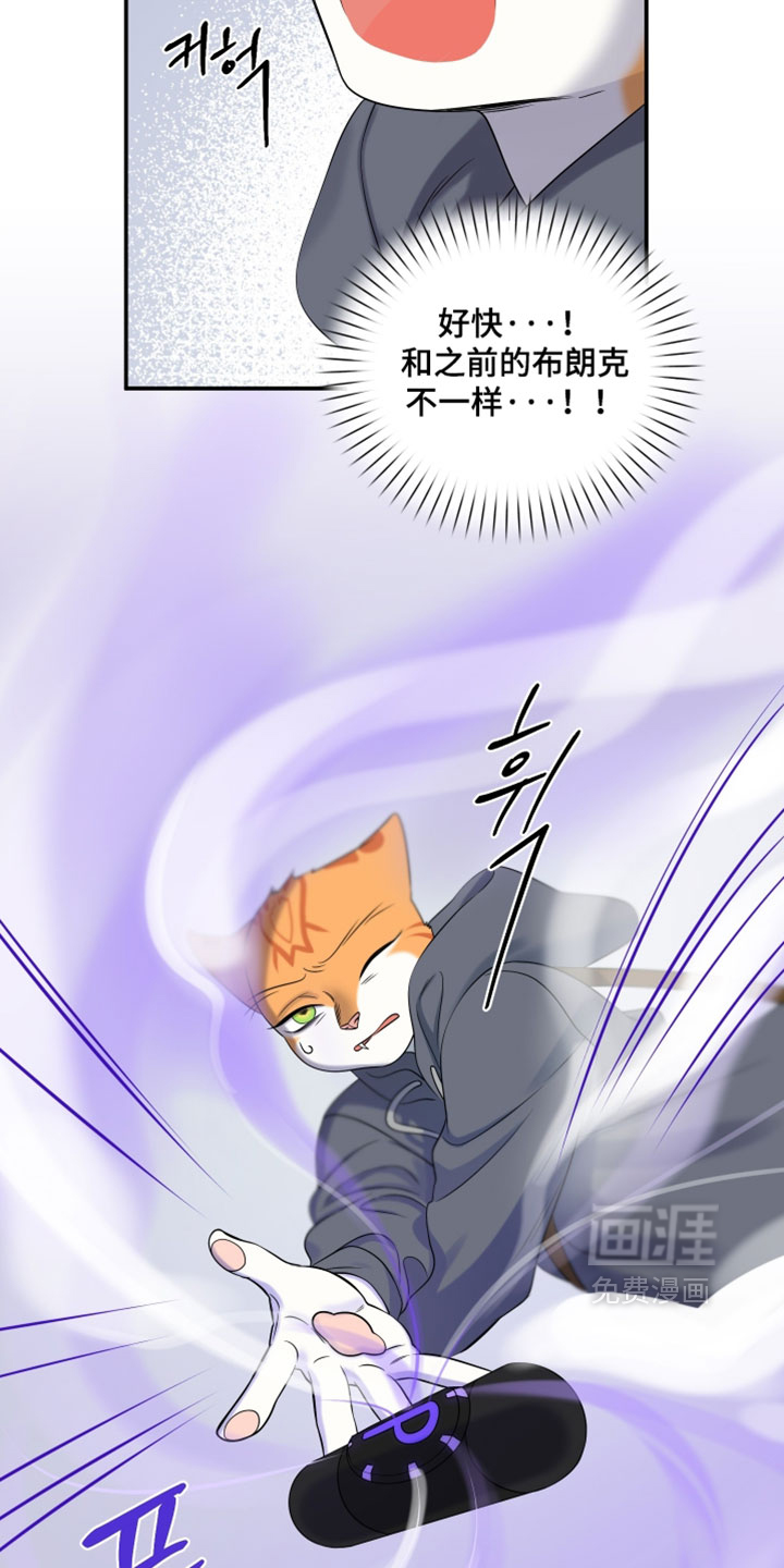 第195话11