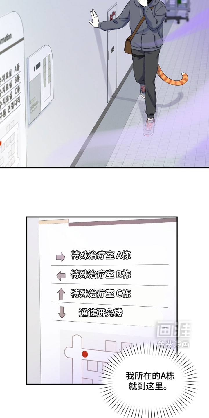 第195话6