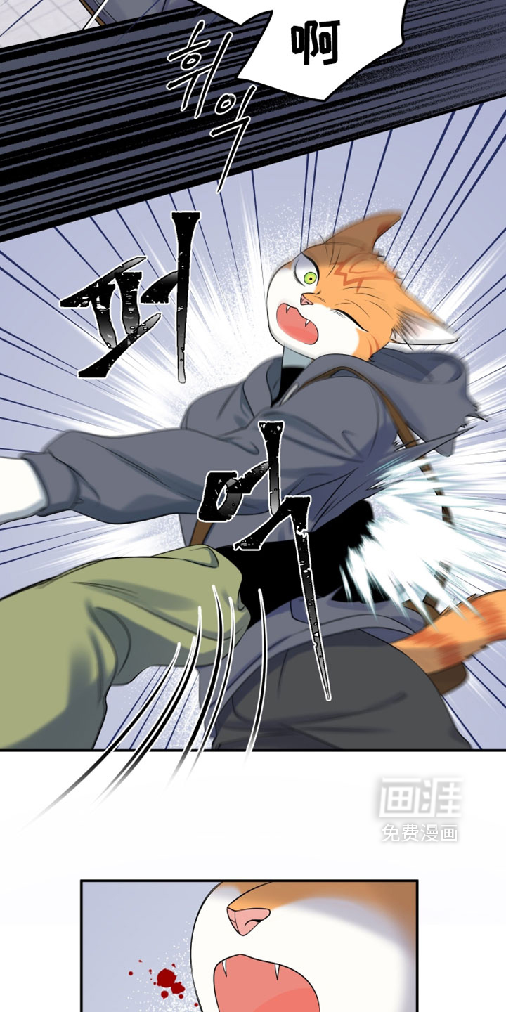 第195话10