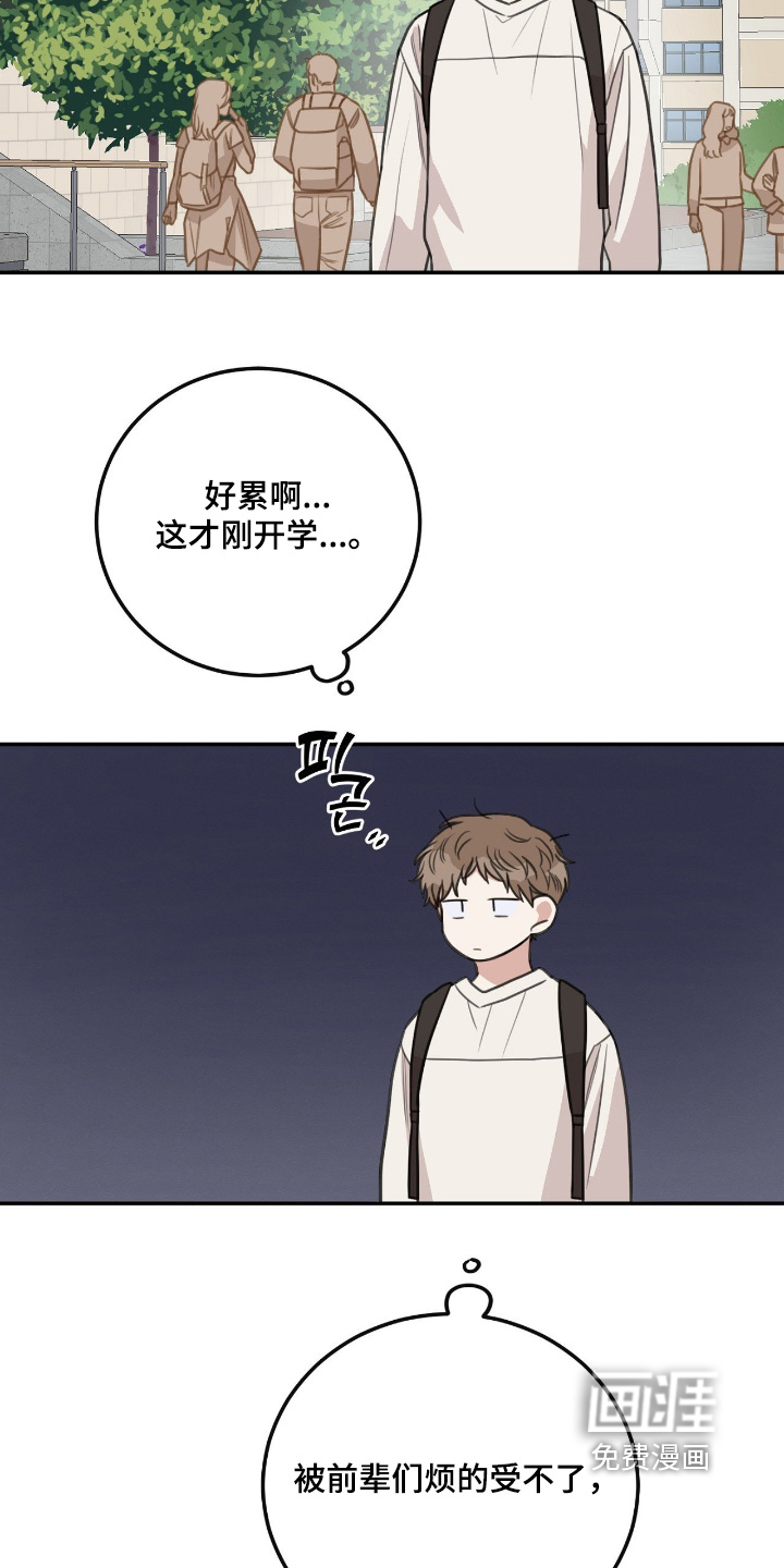 第52话17