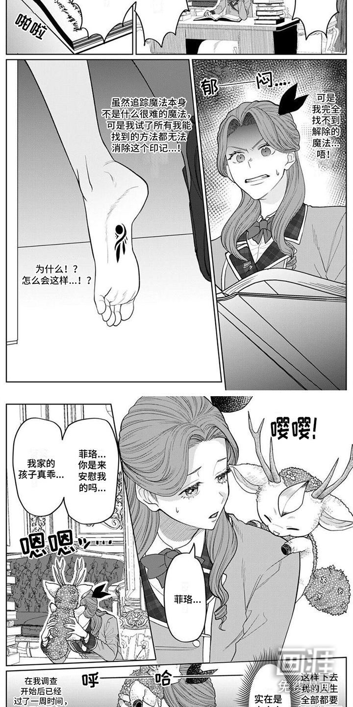 第9话5