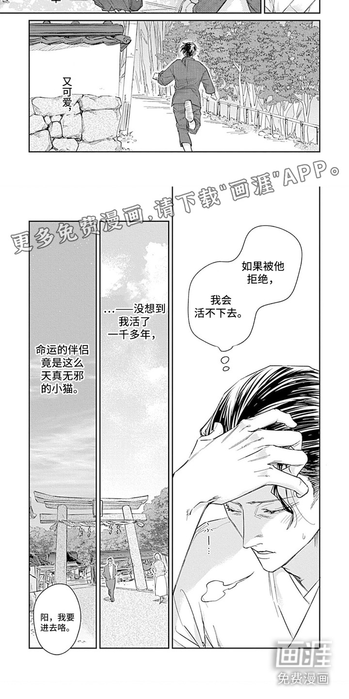 第8话5