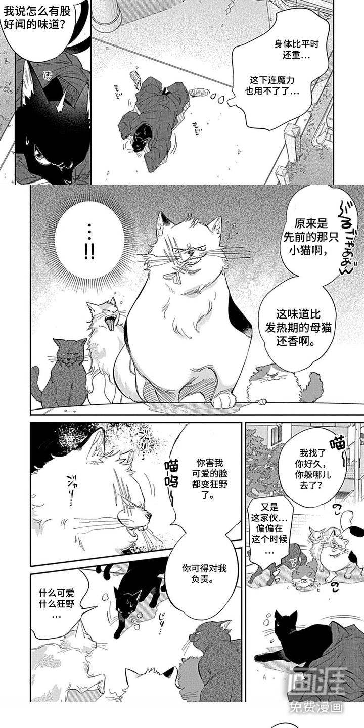 第5话 第5页