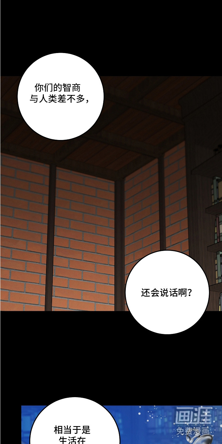 第20话 第3页