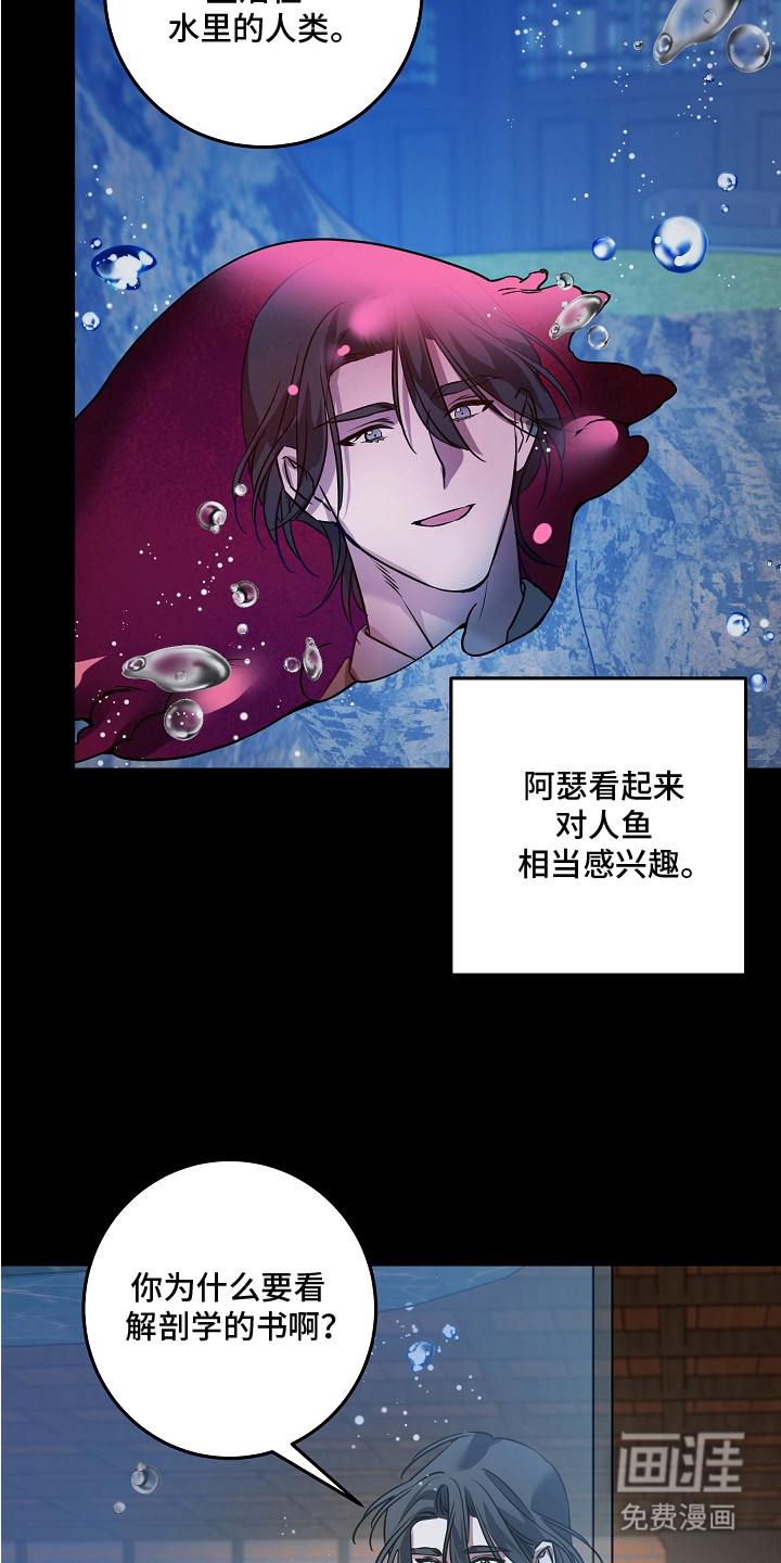 第20话 第4页