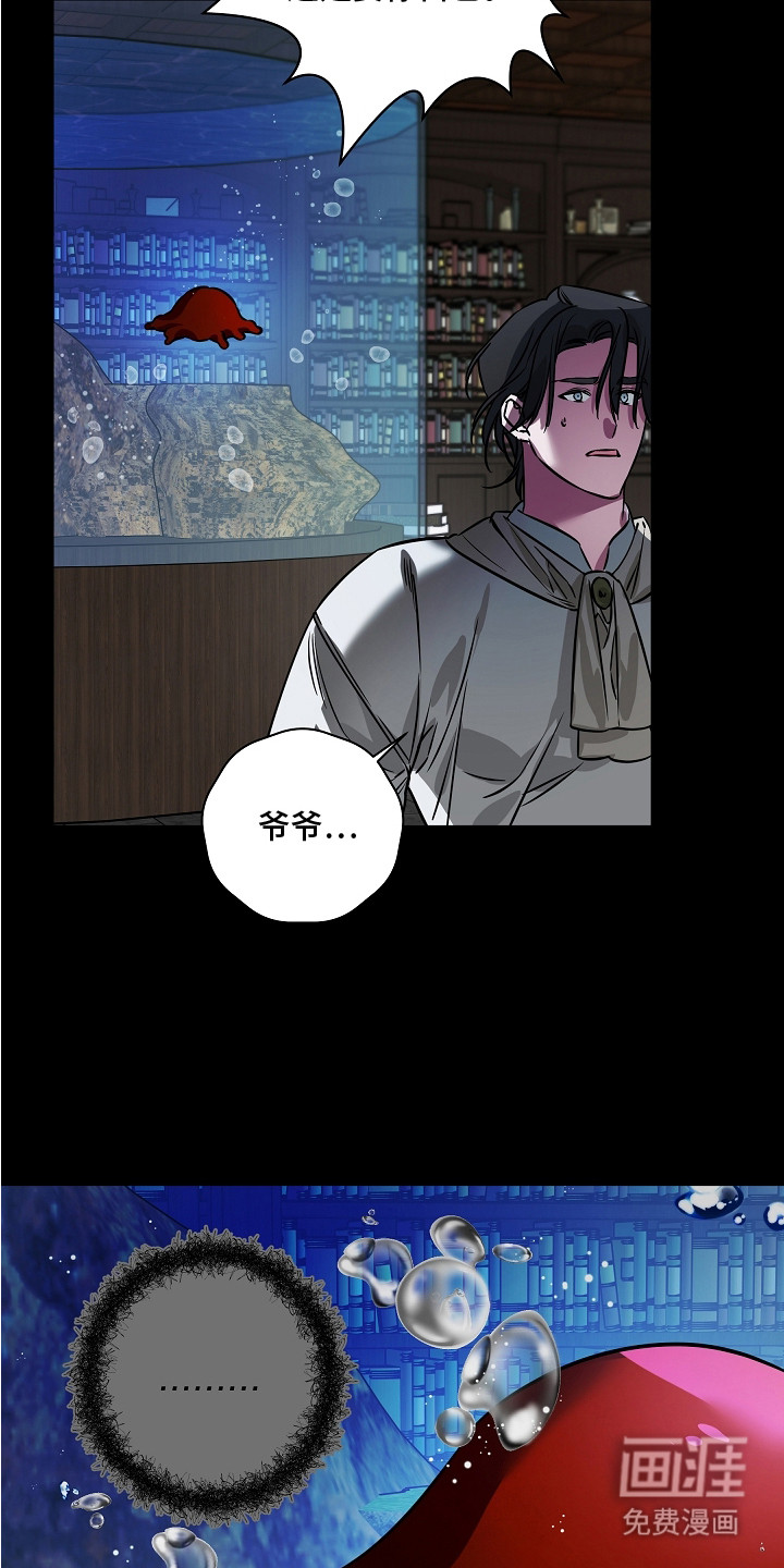 第20话 第13页