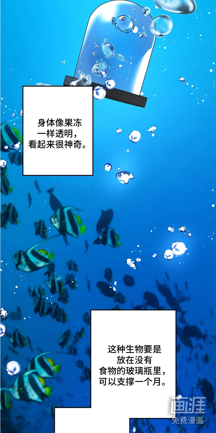 第17话 第21页