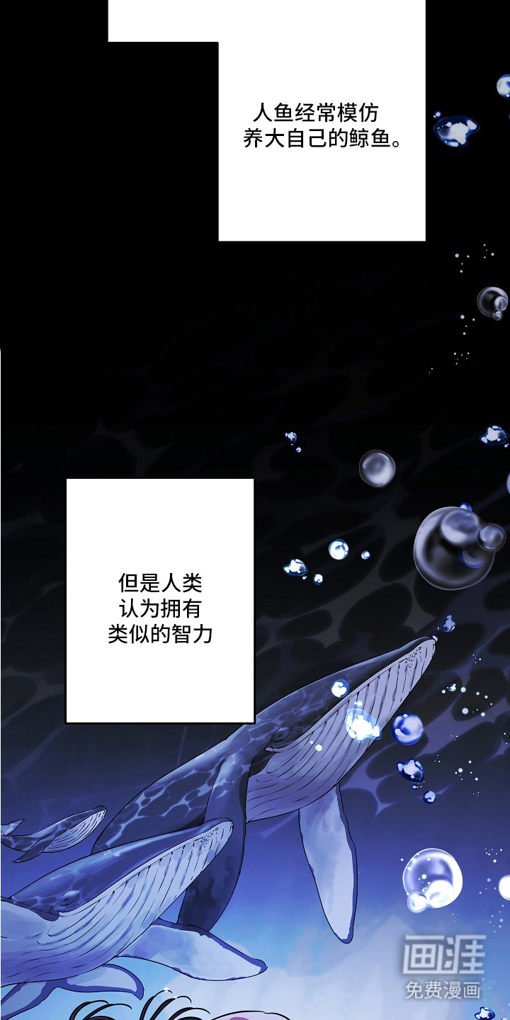 第11话 第11页