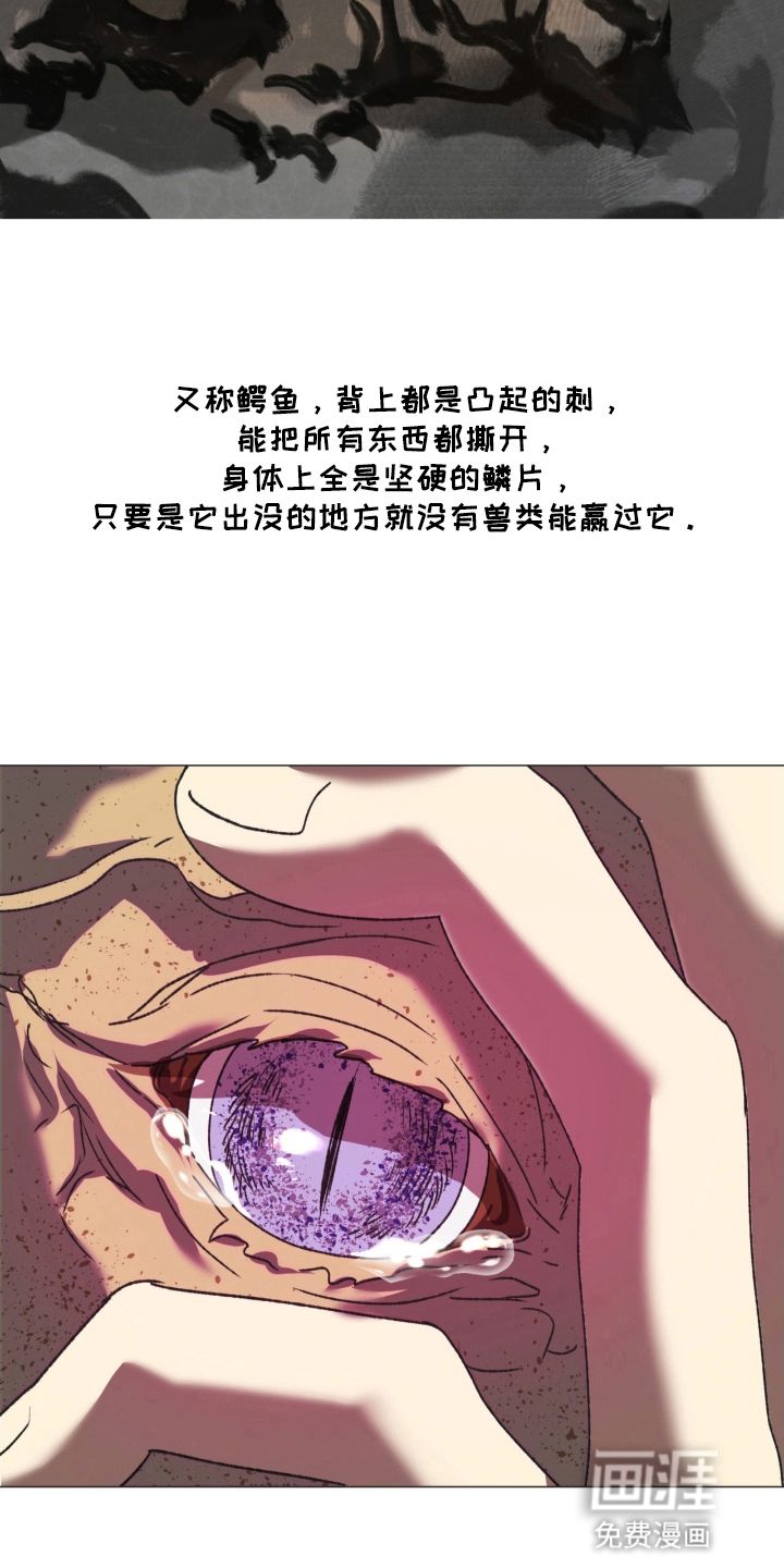 第13话29