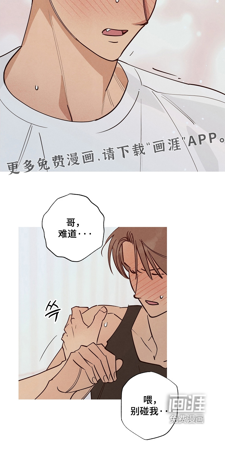 第33话19
