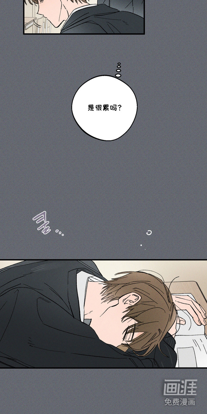 第13话5