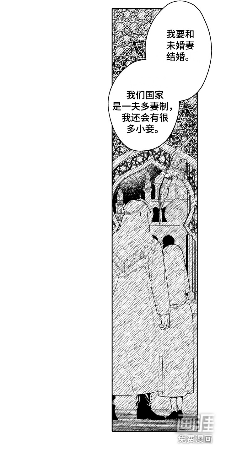 第11话1