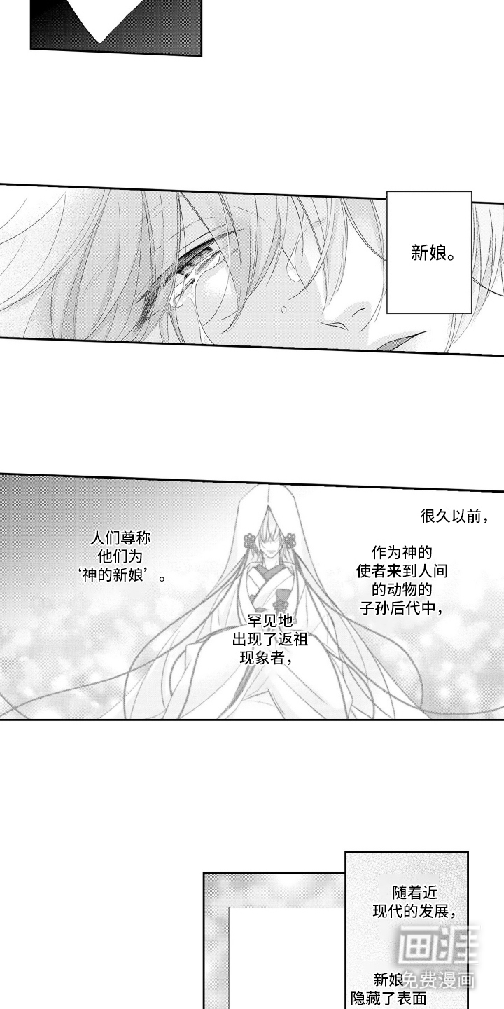 第1话 第6页
