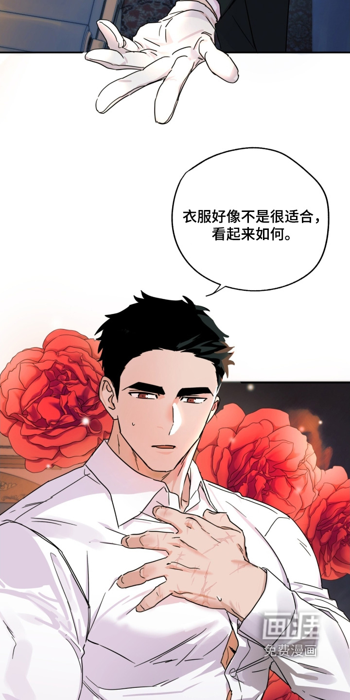 第49话19