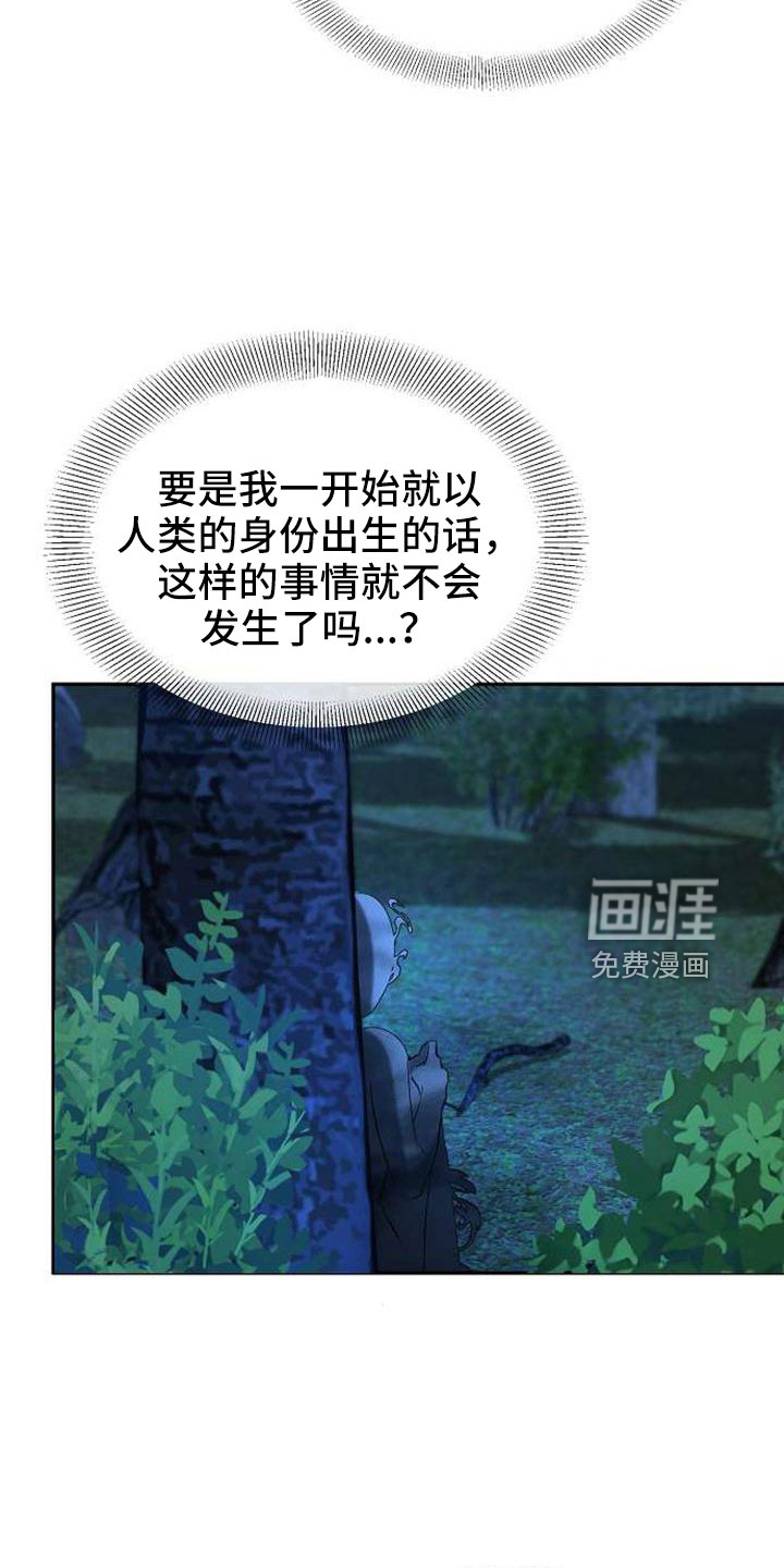 第72话 第17页