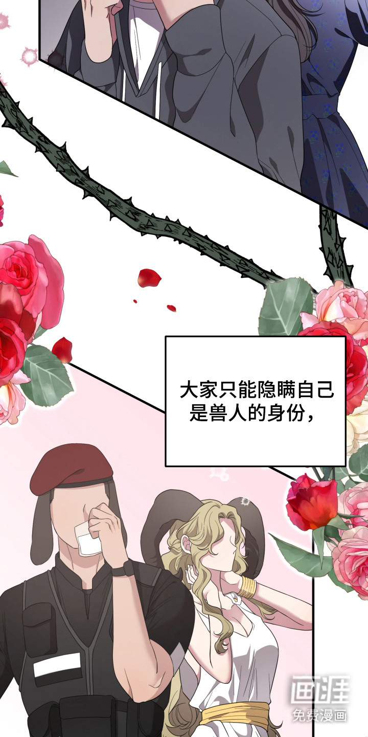 第7话6