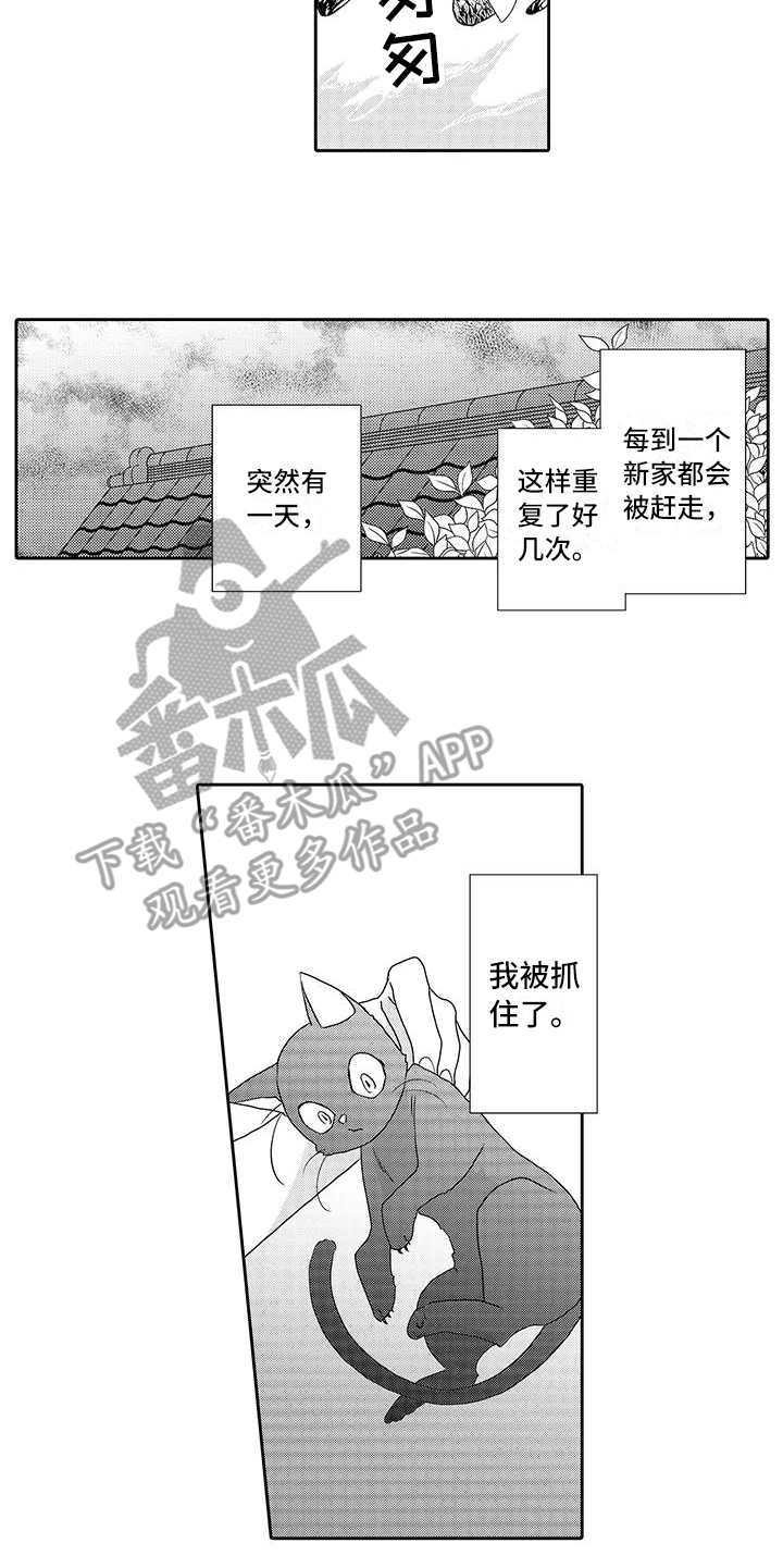 第4话 第5页