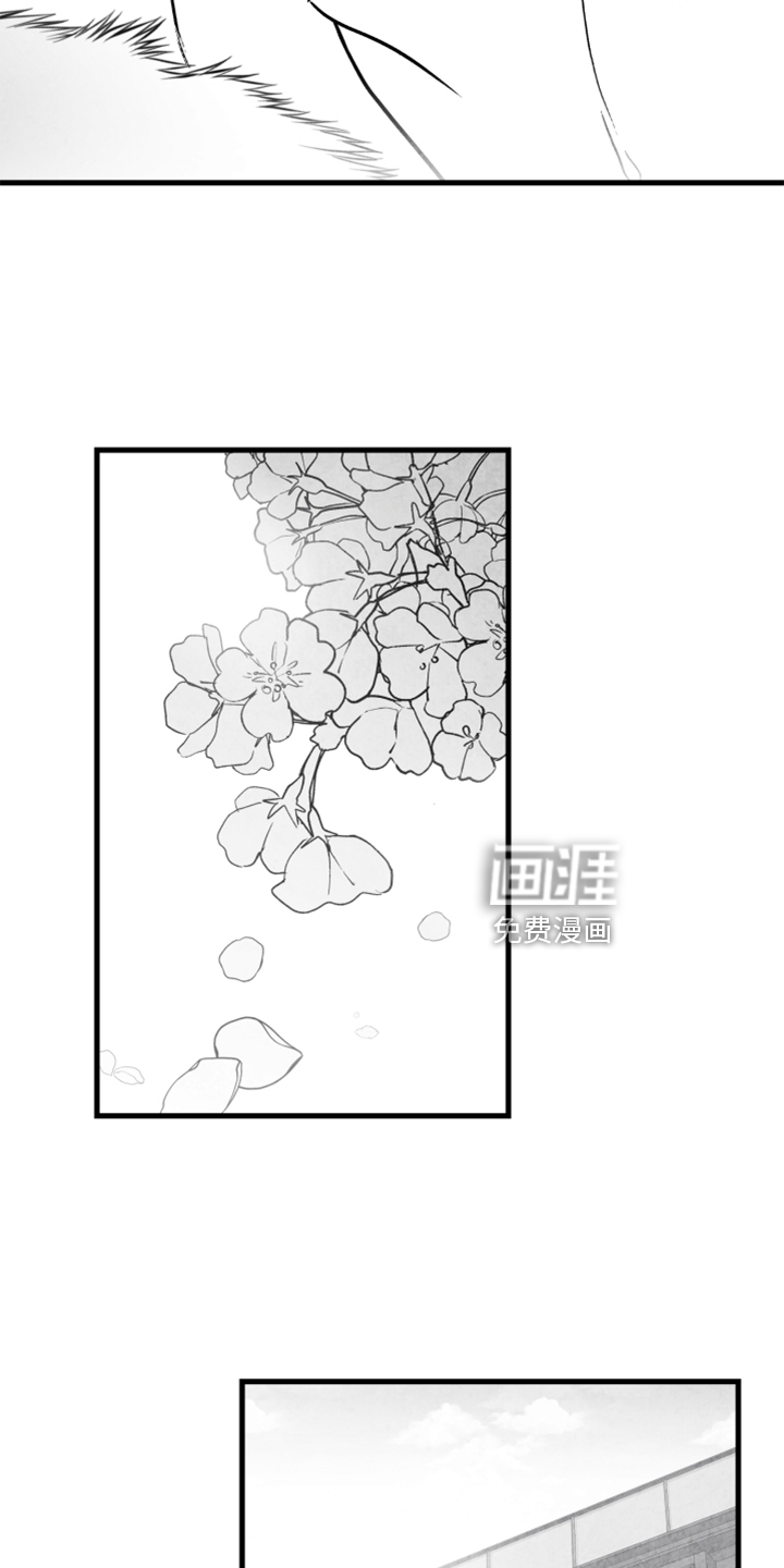 第134话 第21页