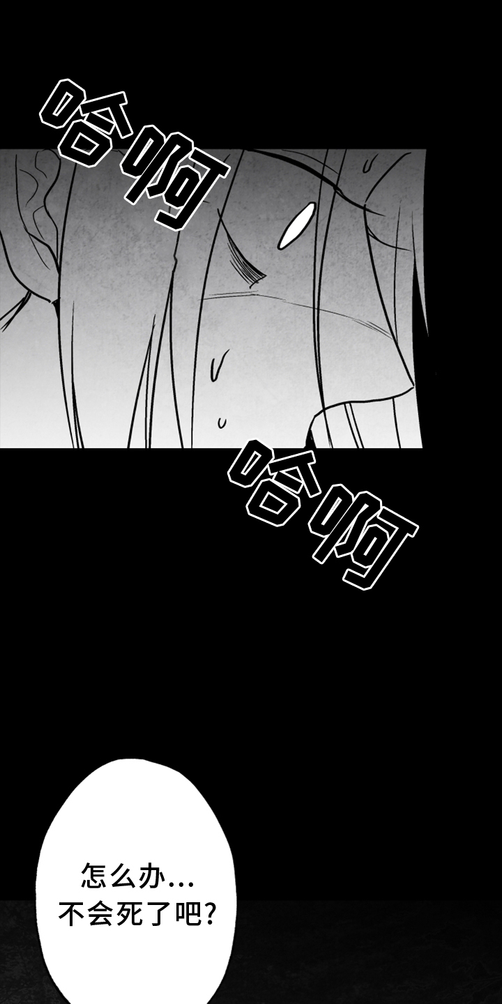 第132话 第5页