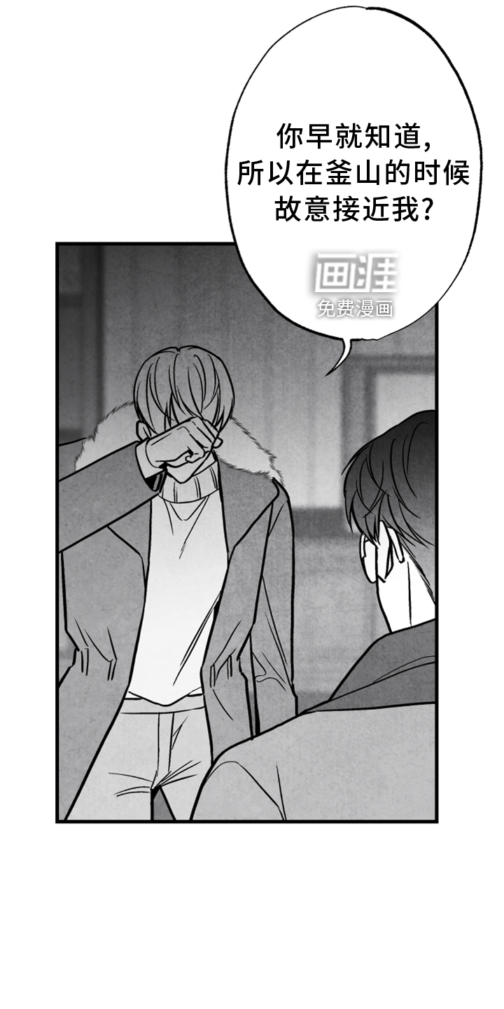 第117话 第19页