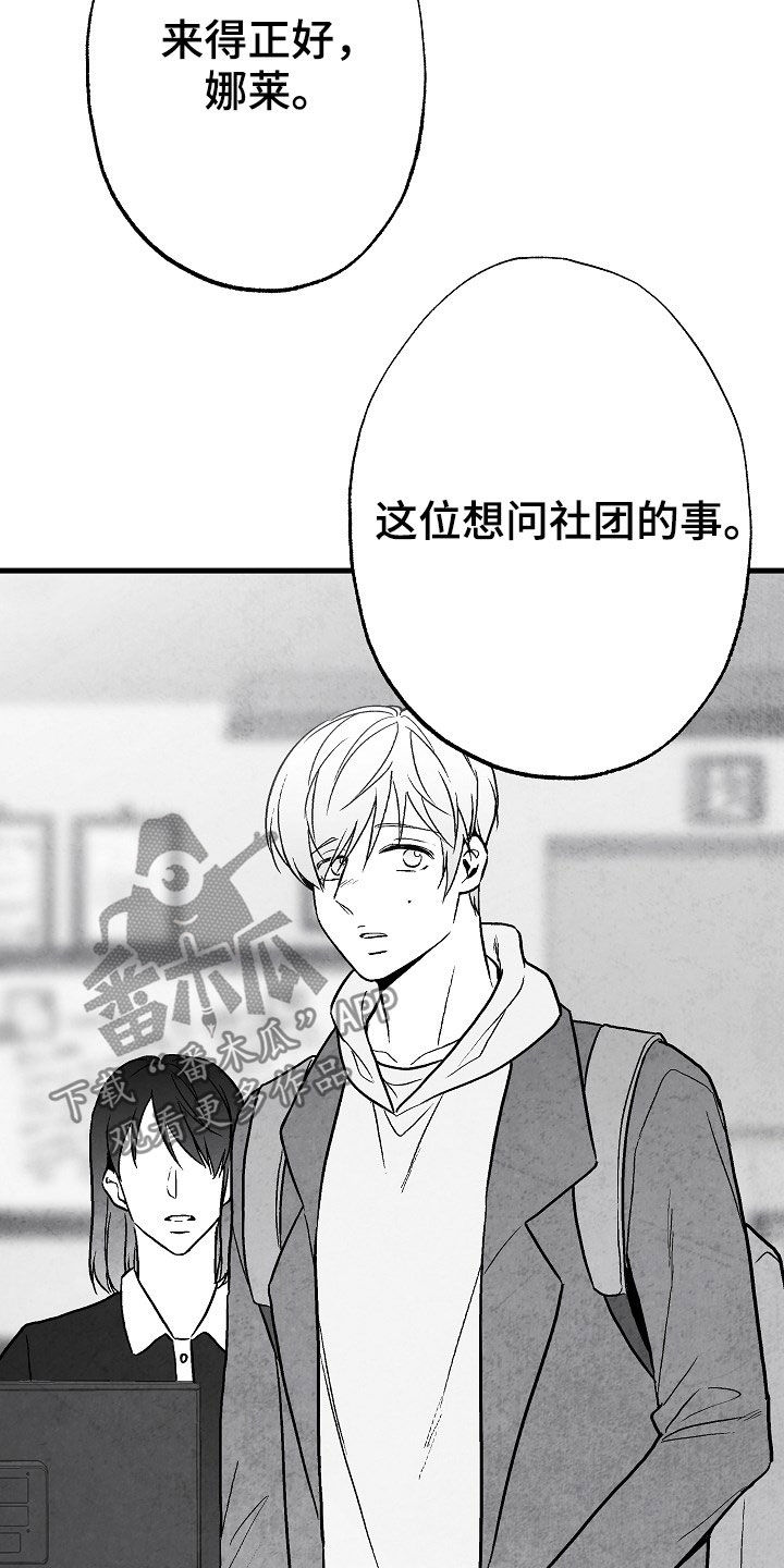 第84话 第7页