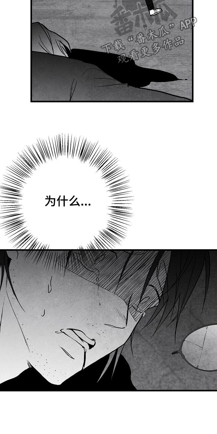 第84话 第19页