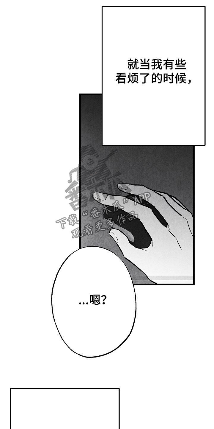 第81话 第13页