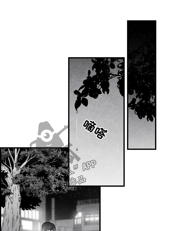 第48话 第14页