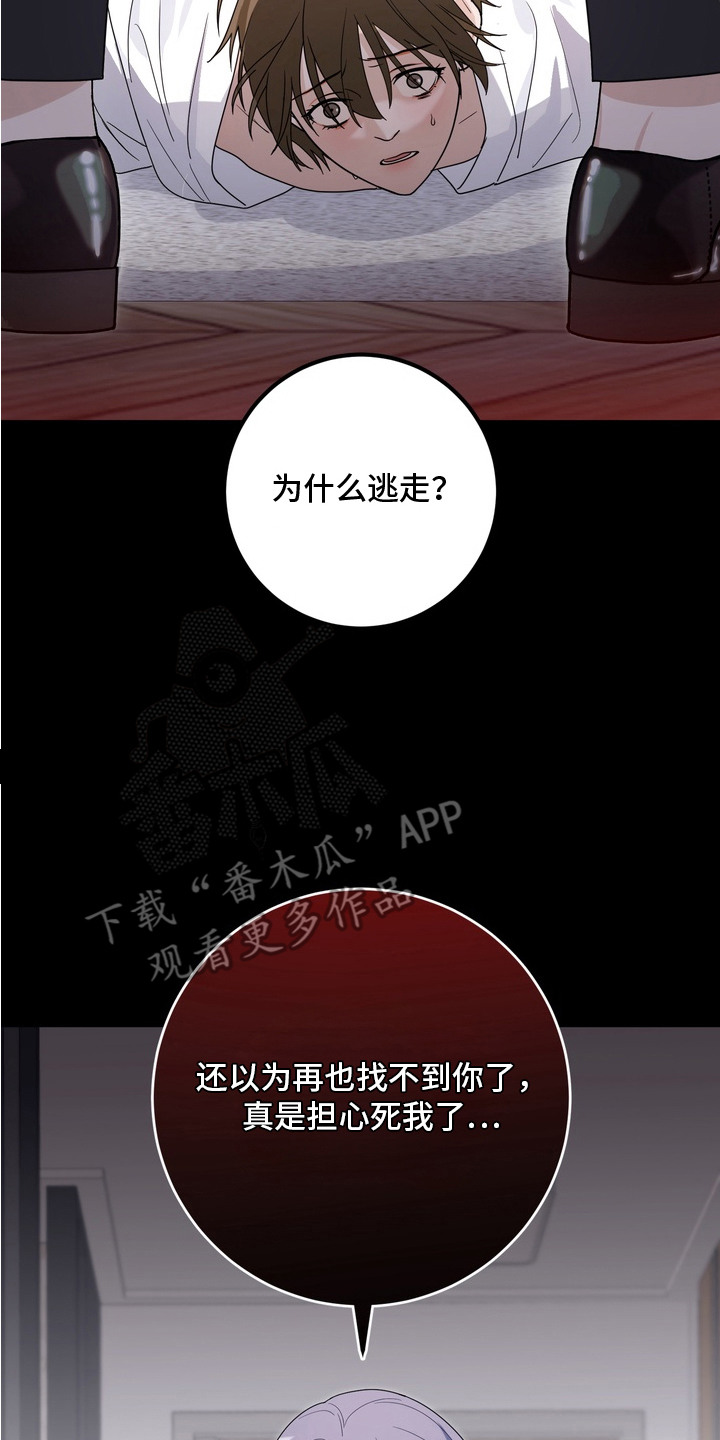 第17话17