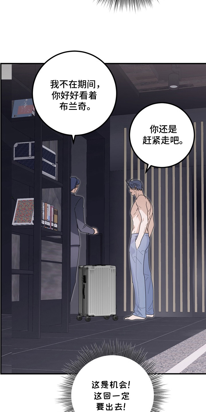 第13话9
